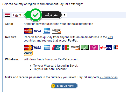 خصائص باي بال لمصر