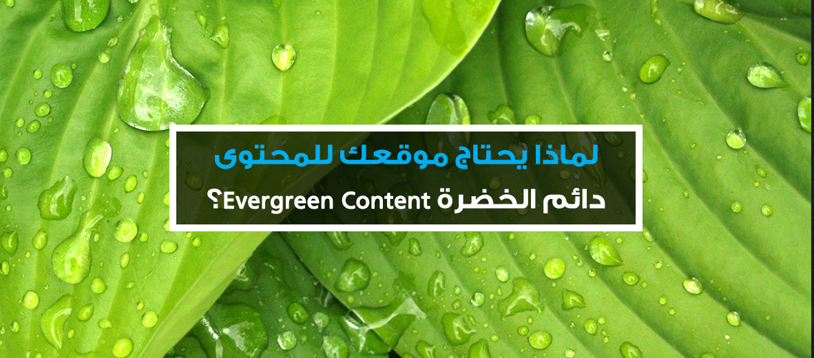 لماذا يحتاج موقعك محتوى دائم الخضرة Evergreen Content؟