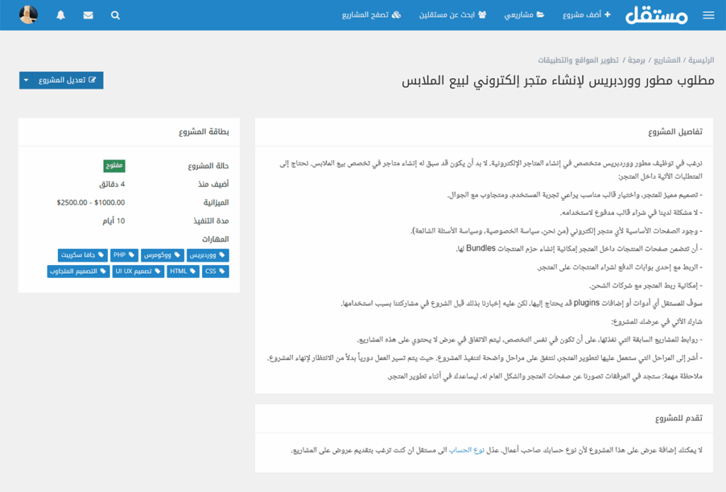 نموذج وصف مشروع على منصة مستقل